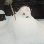 Img 7513